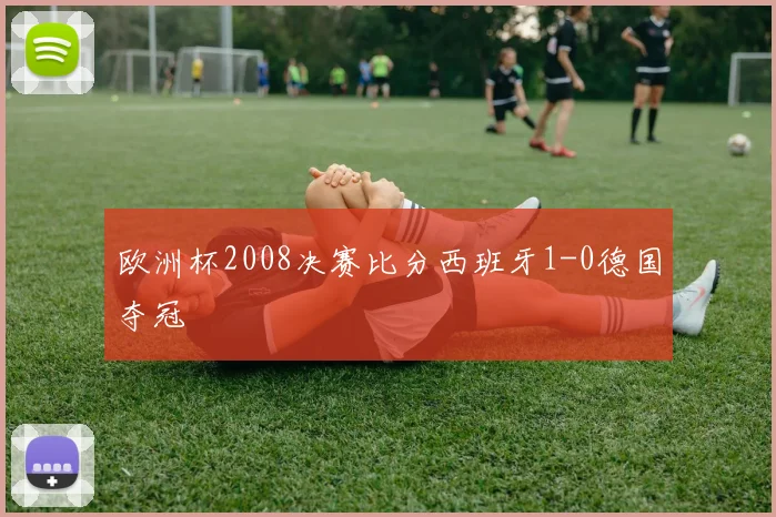 欧洲杯2008决赛比分西班牙1-0德国夺冠