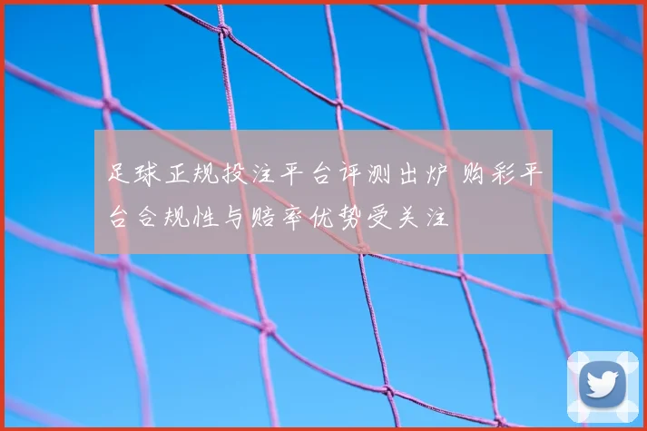 足球正规投注平台评测出炉 购彩平台合规性与赔率优势受关注
